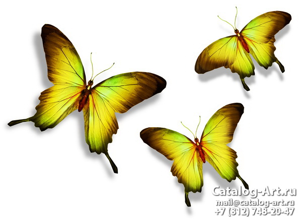  Butterflies 45